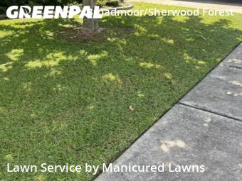 Yard Cutting nearby Baton Rouge, LA, 