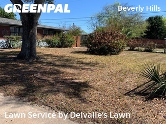 Lawn Mowing nearby Daytona Beach, FL, 
