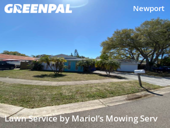 Lawn Mow nearby Clearwater, FL, 