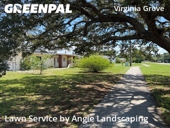 Lawn Cutting nearby Clearwater, FL, 