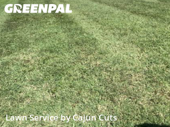 Lawn Mowing nearby Murfreesboro, TN, 