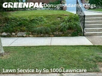 Grass Cutting nearby Decatur, GA, 