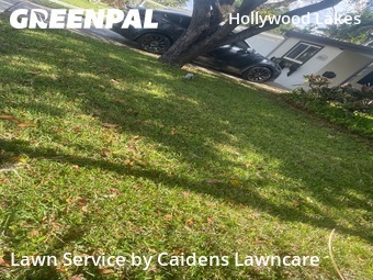 Grass Cut nearby Hollywood, FL, 