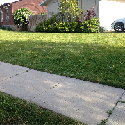affordable-lawn-services-in-Clearfield-UT