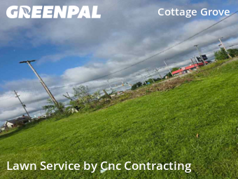 Lawn Cut nearby Youngstown, OH, 