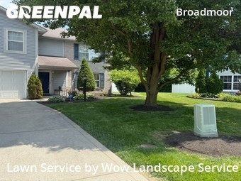 Lawn Cut nearby Indianapolis, IN, 
