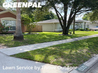 Lawn Mowing nearby Lutz, FL, 