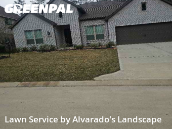 Lawn Cuttingin Porter,77365,Grass Cut by Alvarado's Landscape, work completed in Jan , 2026