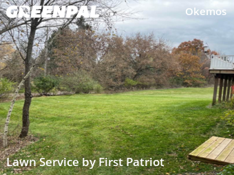 Lawn Maintenance nearby Meridian Charter Township, MI, 