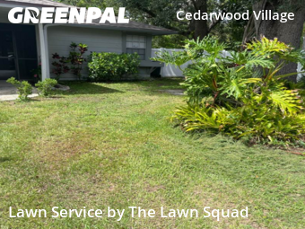 Yard Mowing nearby Tampa, FL, 