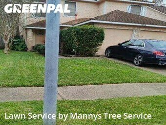 Grass Cut nearby Friendswood, TX, 