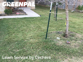 Lawn Mow nearby Pflugerville, TX, 