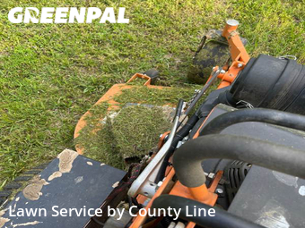 Lawn Service nearby Collierville, TN, 