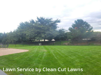 Lawn Mowing Service nearby South Elgin, IL, 