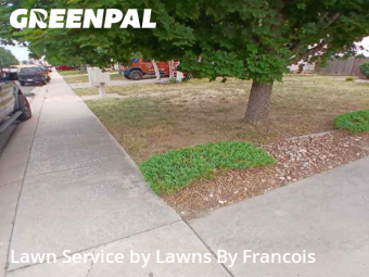 Lawn Cut nearby Colorado Springs, CO, 