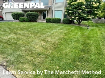 Lawn Service nearby Aurora, IL, 