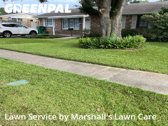 Grass Cut nearby Metairie, LA, 