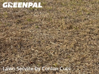 Grass Cutting nearby Bradenton, FL, 