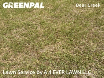 Lawn Cutting nearby New Port Richey, FL, 