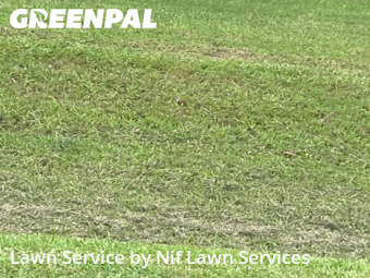 Lawn Cuttingin Gastonia,28052,Lawn Cutting by Nif Lawn Services, work completed in Jan , 2026