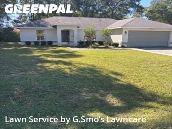 Grass Cut nearby Ocala, FL, 