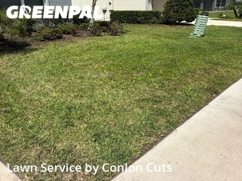 Lawn Maintenance nearby Rubonia, FL, 