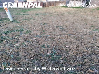 Yard Cutting nearby New Braunfels, TX, 