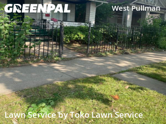 Lawn Mow nearby Chicago, IN, 