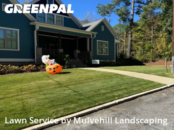 Grass Care in Homewood, 35209, Garden Trimming by Mulvehill Landscaping, work completed in Nov , 2025