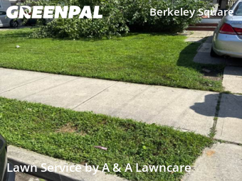 Lawn Care Service nearby Trenton, NJ, 