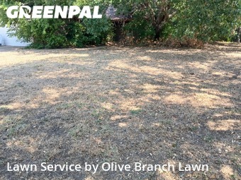 Lawn Carein Keller,76248,Lawn Care by Olive Branch Lawn, work completed in Dec , 2025