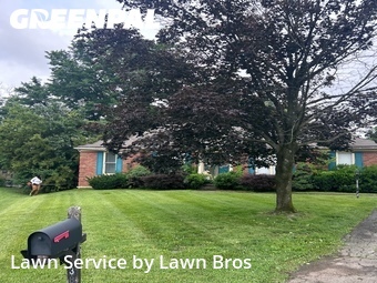 Grass Cut nearby Jeffersontown, KY, 