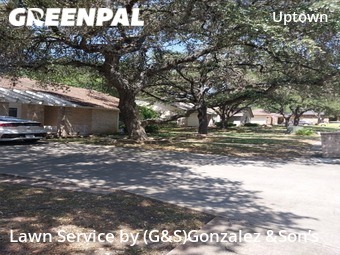 Yard Mowing nearby San Antonio, TX, 