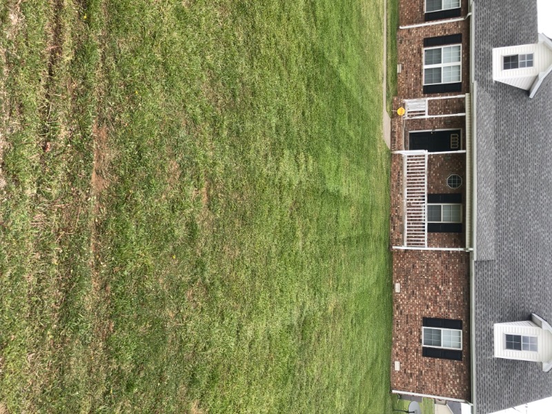 New Season Lawn Care Lawn Care Services in Murfreesboro, TN