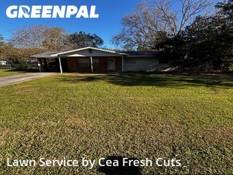 Lawn Mowing nearby Ocala, FL, 