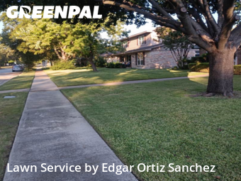 Lawn Cuttingin Richardson,75080,Grass Cut by Edgar Ortiz Sanchez, work completed in Dec , 2025