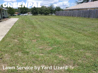 Lawn Mow nearby Ocala, FL, 