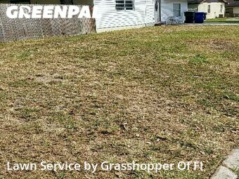 Lawn Care Service nearby Lakeland, FL, 