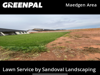Lawn Cut nearby Lubbock, TX, 