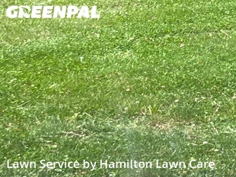 Grass Cutting nearby Fishers, IN, 