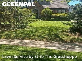 Lawn Service nearby Shaker Heights, OH, 