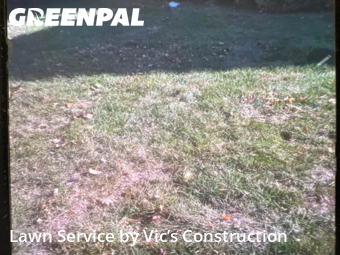 Lawn Services in Shorewood, 60404, Backyard Mowing by Vic’s Construction , work completed in Nov , 2025