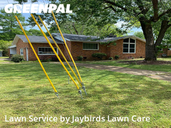 Lawn Cutting nearby Decatur, AL, 