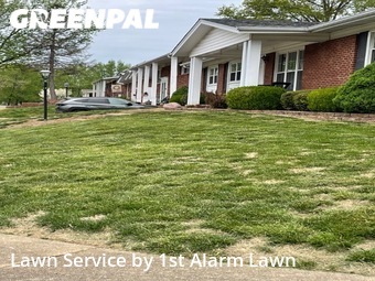 Grass Cutting nearby St. Louis, MO, 