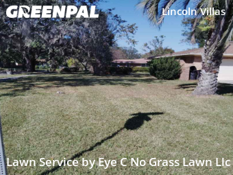 Lawn Care Servicein Jacksonville,32219,Yard Mowing by Eye C No Grass Lawn Llc, work completed in Nov , 2025