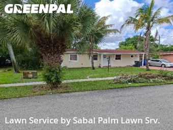 Lawn Management in North Lauderdale, 33068, Yard Services by Sabal Palm Lawn Srv., work completed in Nov , 2025