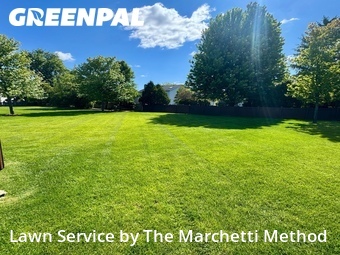 Lawn Mowing Service nearby Aurora, IL, 