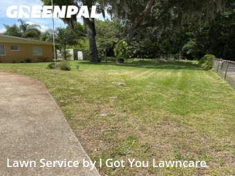 Lawn Cut nearby Leesburg, FL, 