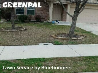 Lawn Maintenance nearby Georgetown, TX, 
