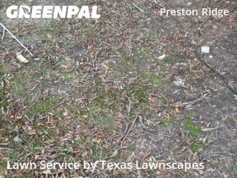 Affordable Landscaping In Plano,75093,Landscape Design by Texas Lawnscapes, work completed in Feb , 2026